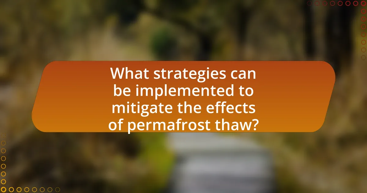 What strategies can be implemented to mitigate the effects of permafrost thaw?